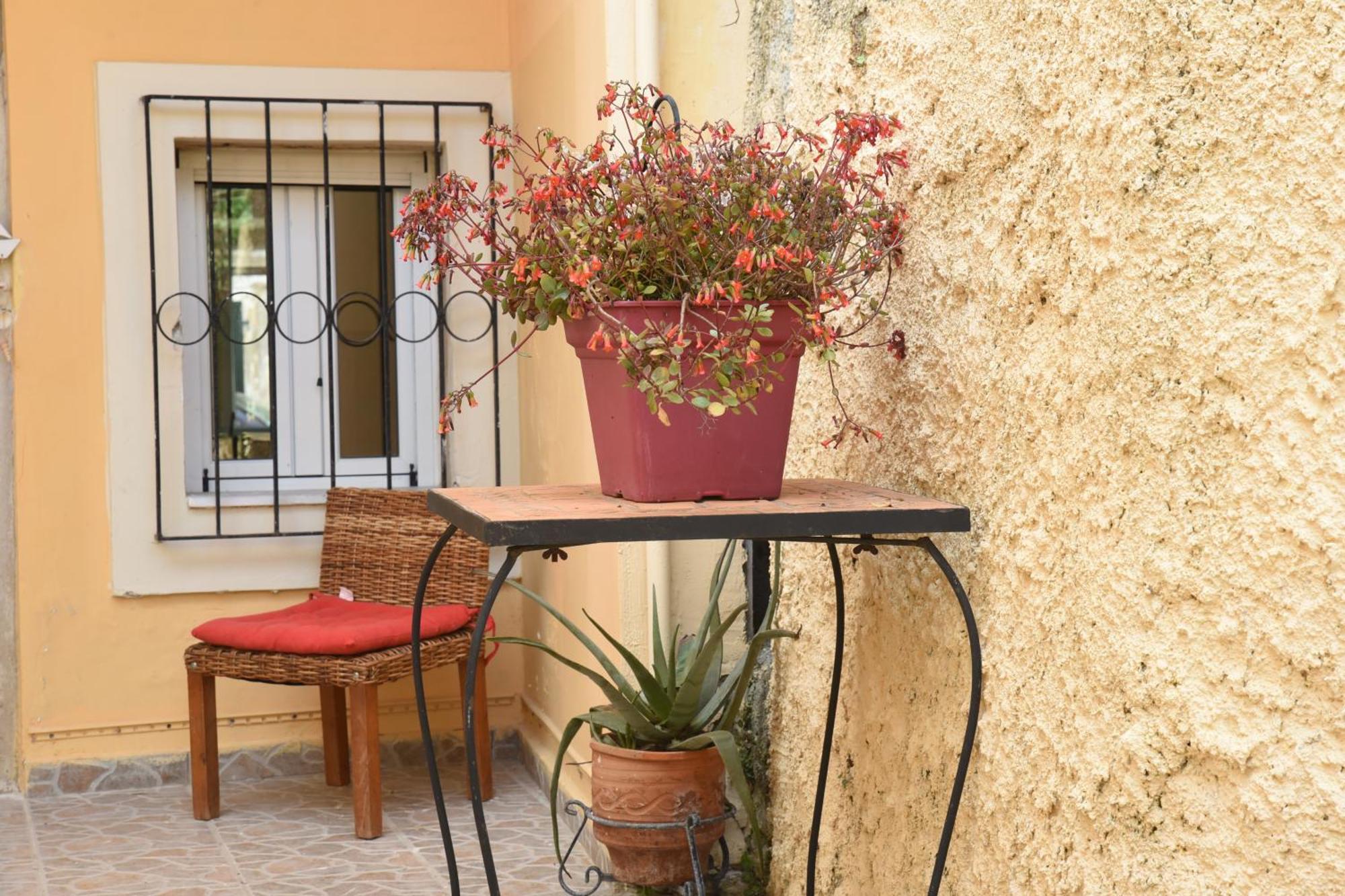 Villa Maxim In Corfu Town Ανεμόμυλος Εξωτερικό φωτογραφία